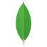 mongodb